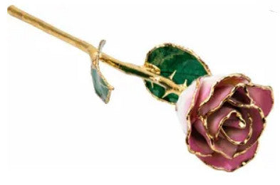 Rose - Lacquered Cream Pink with Gold Trim Item #: 61-9146:238746:T